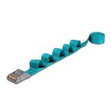 Teal / No