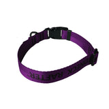 a product photo of a purple dog collar