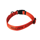 a product photo of a red-orange dog collar