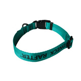 a product photo of a teal dog collar, back view