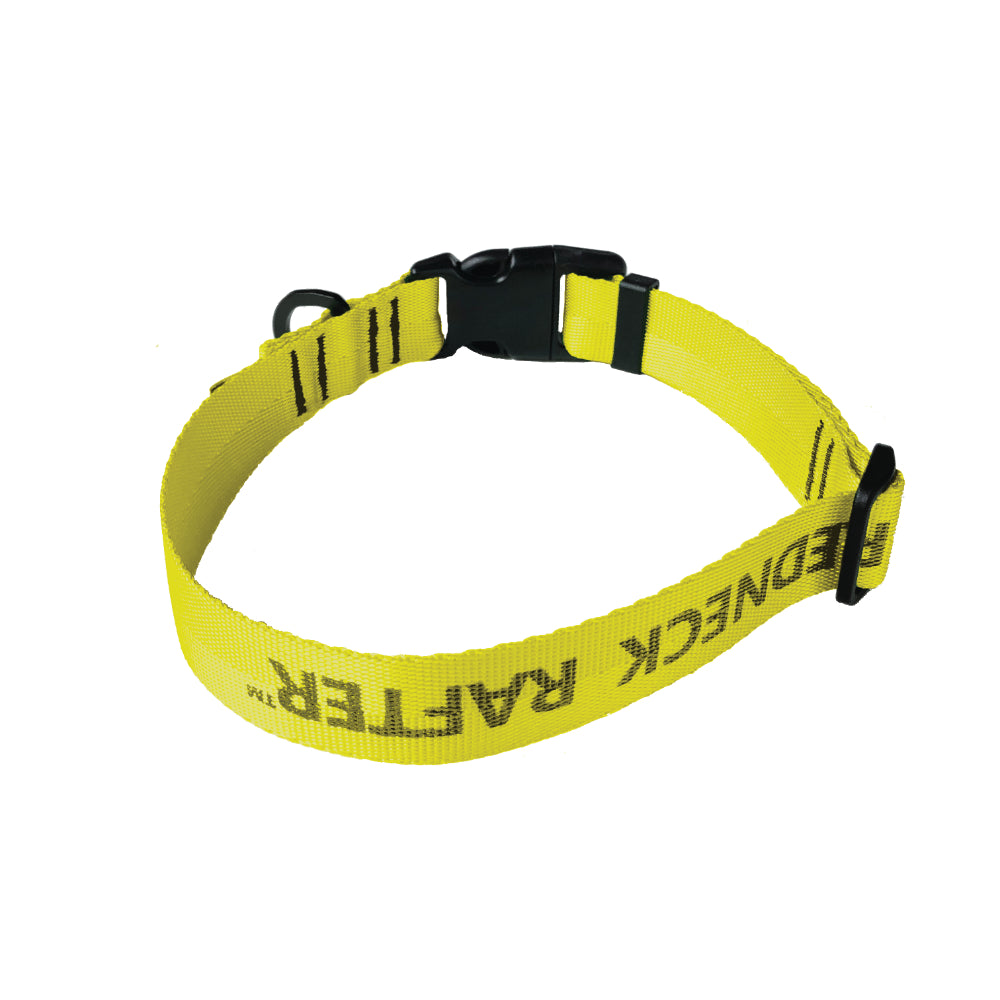 a product photo of a yellow dog collar, back view