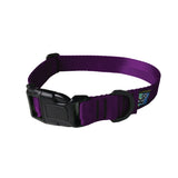 a product photo of a purple dog collar