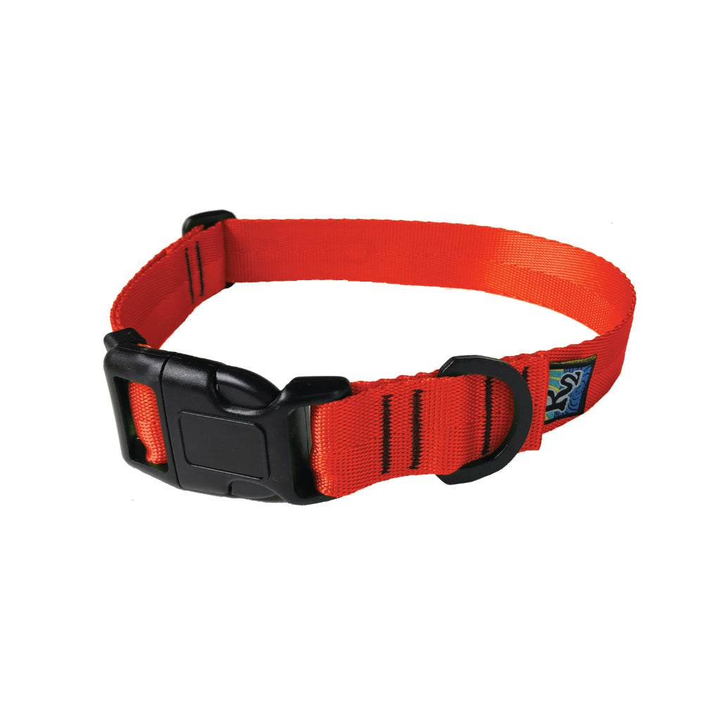 a product photo of a red-orange dog collar