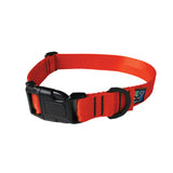a product photo of a red-orange dog collar