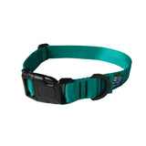 a product photo of a teal dog collar, front view
