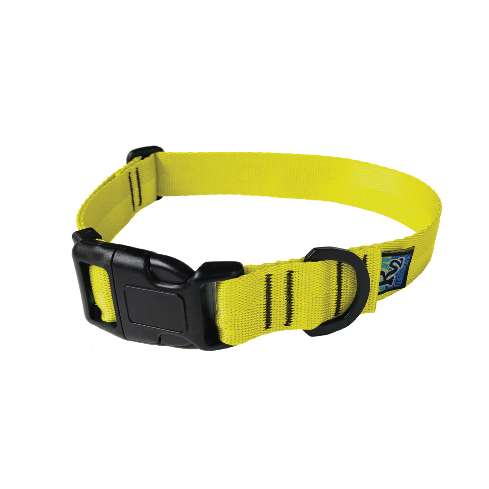 a product photo of a yellow dog collar with a black snap buckle