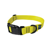 a product photo of a yellow dog collar with a black snap buckle
