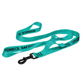 Product photo of a teal colored dog leash showing the handle, dog snap, and sewn grab handle
