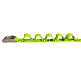 Daisy Chain Cam Strap