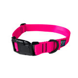 Soc 'Em Dog Collar